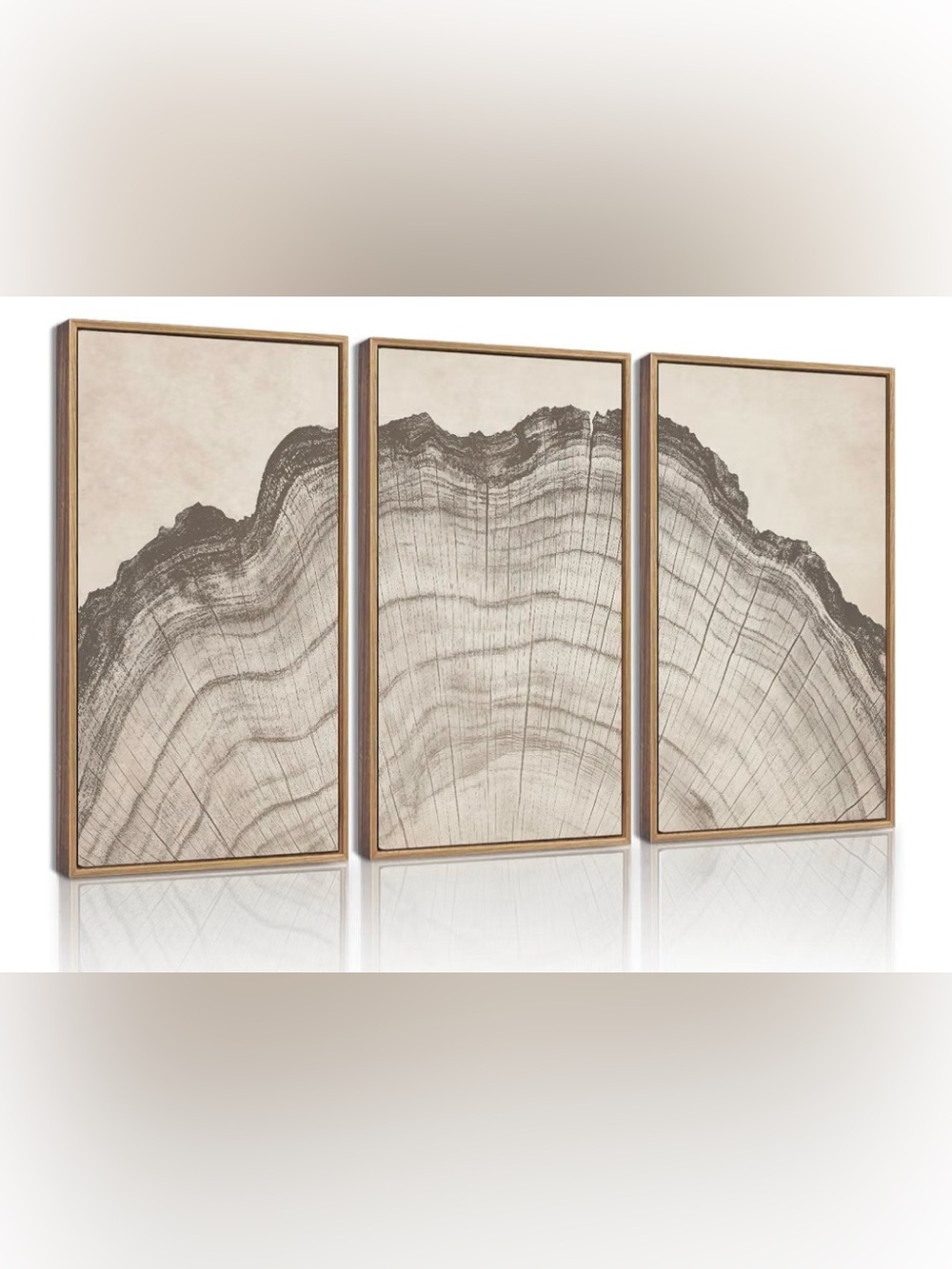 Rustic Nature Illustrations Tree Rings Wall Decor